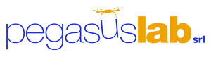 pegasuslab.it